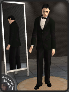 Move the mouse over the picture to see the whole Sim | Passez la souris sur l'image pour voir le Sim en entier