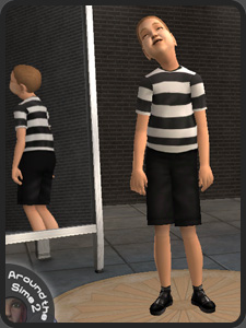 Move the mouse over the picture to see the whole Sim | Passez la souris sur l'image pour voir le Sim en entier