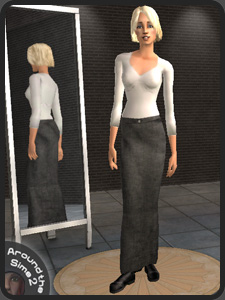 Move the mouse over the picture to see the whole Sim | Passez la souris sur l'image pour voir le Sim en entier