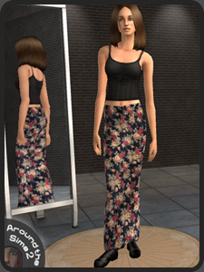Move the mouse over the picture to see the whole Sim | Passez la souris sur l'image pour voir le Sim en entier