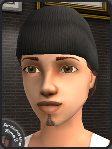 Move the mouse over the picture to see the whole Sim | Passez la souris sur l'image pour voir le Sim en entier