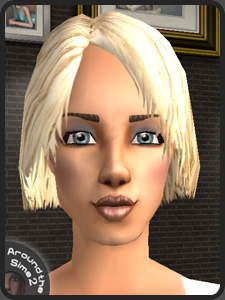 Move the mouse over the picture to see the whole Sim | Passez la souris sur l'image pour voir le Sim en entier