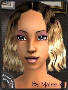 Move the mouse over the picture to see the whole Sim | Passez la souris sur l'image pour voir le Sim en entier