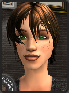 Move the mouse over the picture to see the whole Sim | Passez la souris sur l'image pour voir le Sim en entier