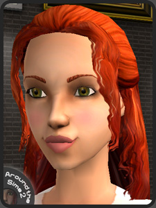 Move the mouse over the picture to see the whole Sim | Passez la souris sur l'image pour voir le Sim en entier